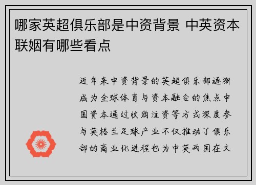哪家英超俱乐部是中资背景 中英资本联姻有哪些看点