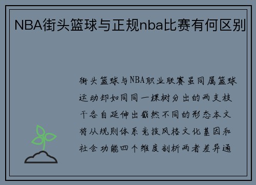NBA街头篮球与正规nba比赛有何区别